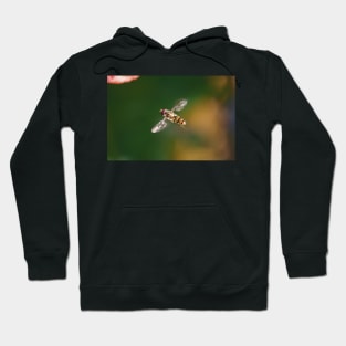 The Hoverfly Hoodie